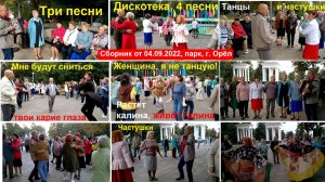 0691 Парк Дискотека Частушки песни танцы под гармонь г Орёл Орле городе  гармошка гармонисты пятачок