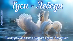 Гуси-лебеди. Мелодичная инструментальная музыка. Автор музыки
Сергей Чекалин.