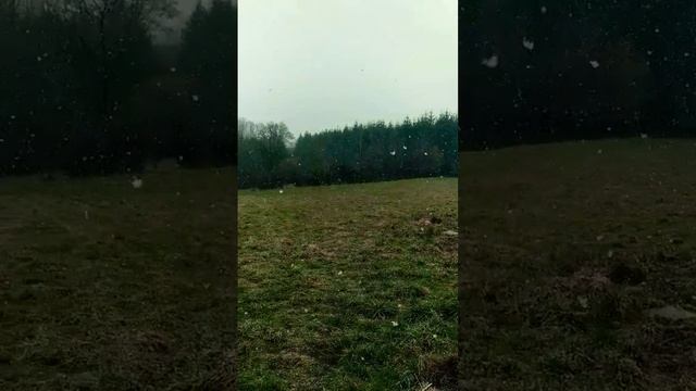 ô surprise ? il neige encore ?️ #shorts #snowtime #naturelifestyle смотреть онлайн