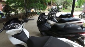 Хонда PCX New vs Ямаха N-MAX  после года использования