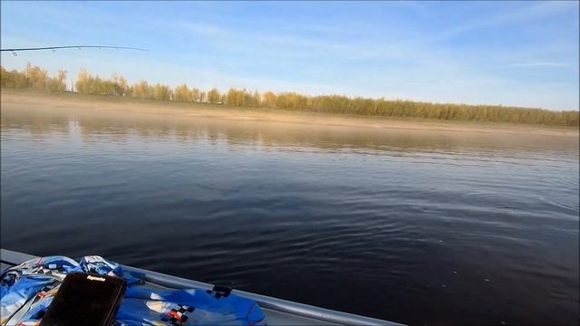 Ловля Нельмы в притоке Оби смотреть онлайн