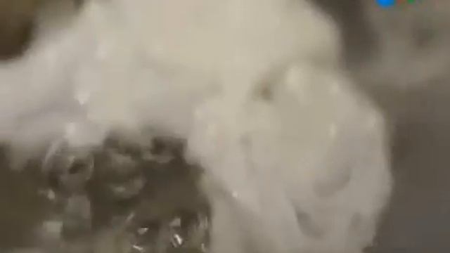 Высокая кухня. Выпуск 8 | 12.03.2017 смотреть онлайн