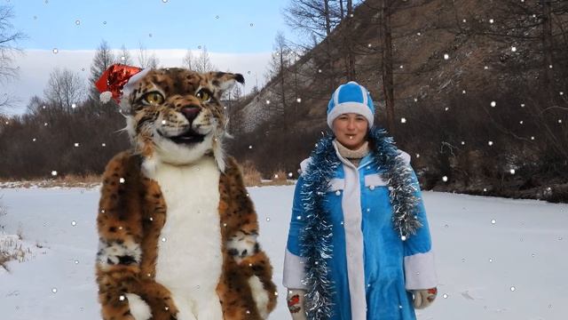 Новогоднее поздравление смотреть онлайн