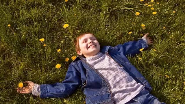 Отрывок из книги А.Лопатина и М.Скребцова "Семейные заповеди. В плену у компьютера" смотреть онлайн