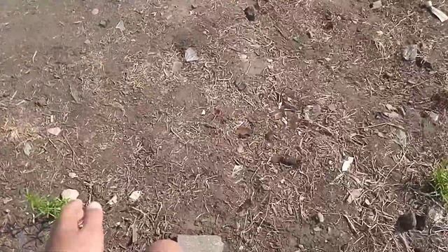 что надо делать если ты переходишь пути не подоженом в месте смотреть онлайн