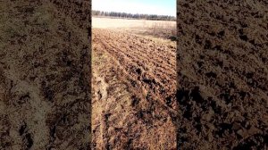 пахота плугом мотокультиватором Brado BD-700 весом 80кг??