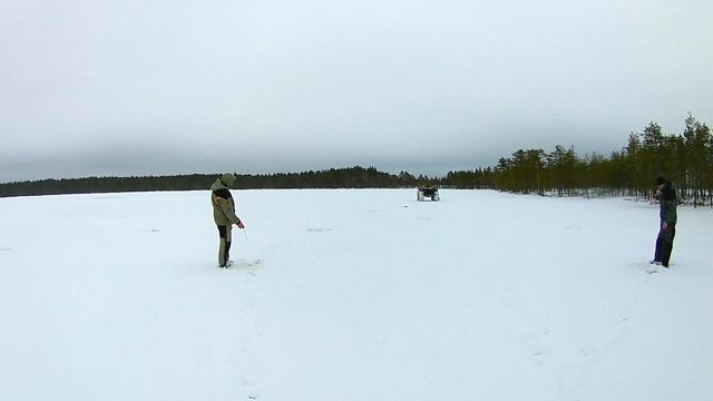 Рыбалка в Ленинградской области оз. Селижское 2020г. смотреть онлайн