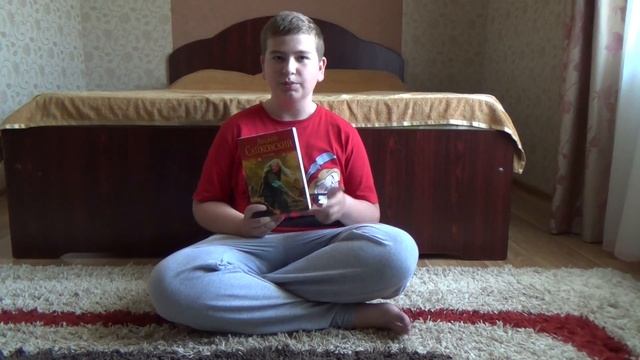 Обзор книги-Ведьмак.Последнее желание смотреть онлайн