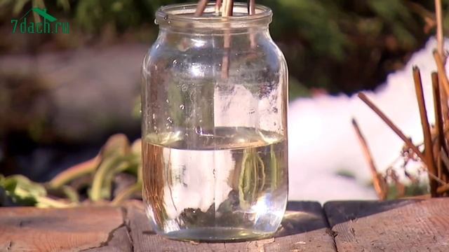 Сад после зимы - 7 дач смотреть онлайн