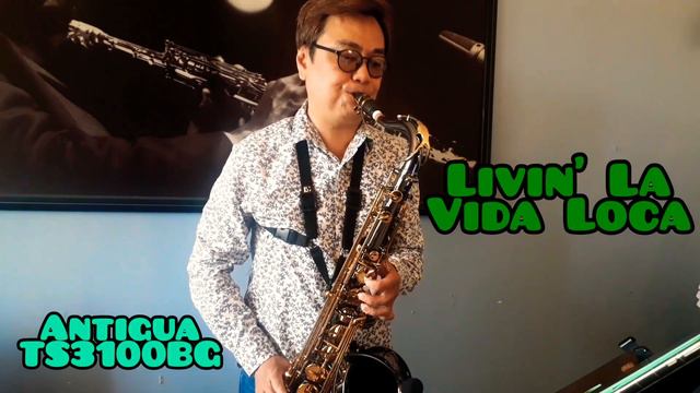 Livin' La Vida Loca (Antigua TS3100BG Tenor Saxophone，Vandoren TL4 Tenor Mouthpiece) смотреть онлайн