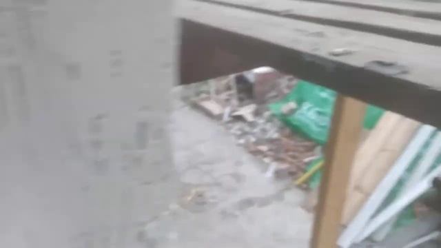 кароед формирование рисунка смотреть онлайн