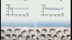 Шоковая заморозка. Как работает шоковая заморозка.