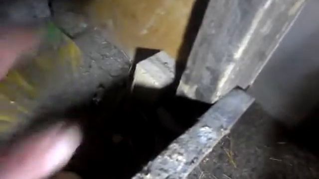 Борьба с РАСКЛЁВОМ яиц. Яйца улавливатель !