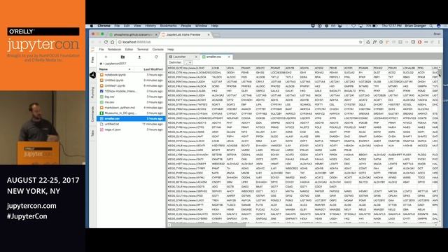 JupyterLab: The Next-Generation Jupyter Frontend смотреть онлайн