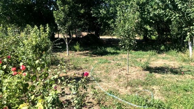 Купить дом в ст. Варениковская |Переезд в Краснодарский край