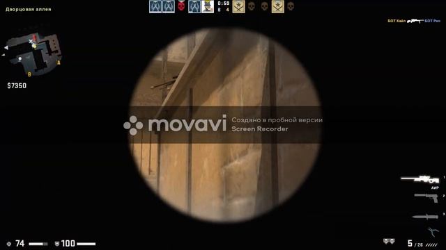 Чисто тренировка с ботами смотреть онлайн