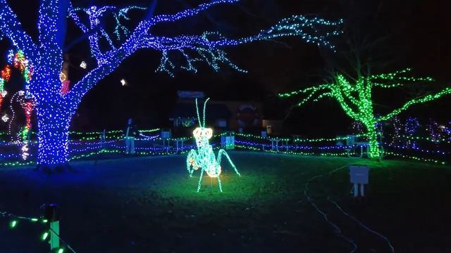 Wild Lights at the Detroit Zoo смотреть онлайн