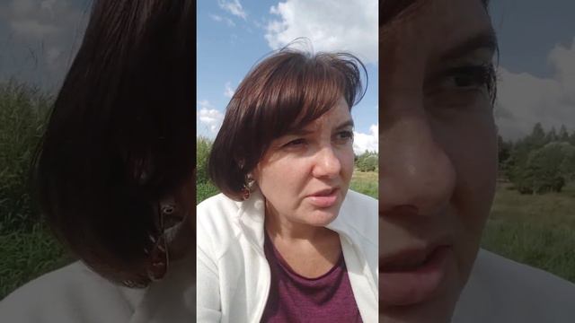 Жизненные сценарии. Сборка. От чего зависит жизненный сценарий. Выбор Души. Карма.