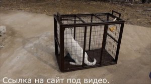 Клетка-ловушка для собаки. Поймать собаку. Собаколовка.