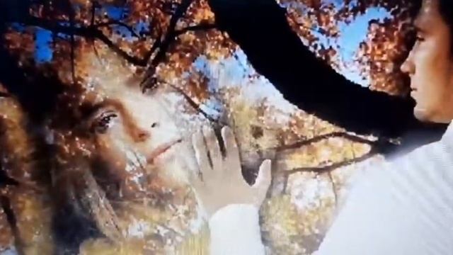 Я не хочу тебя терять читает автор Е Дубиц смотреть онлайн