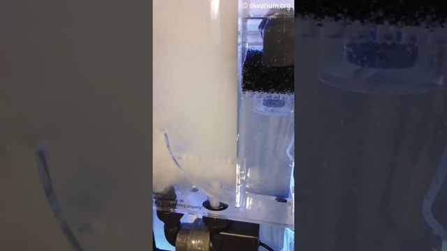 Внешний навесной скиммер Reef Octopus HOB 2000 смотреть онлайн