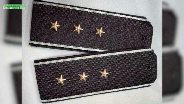 Зоологические Загадки