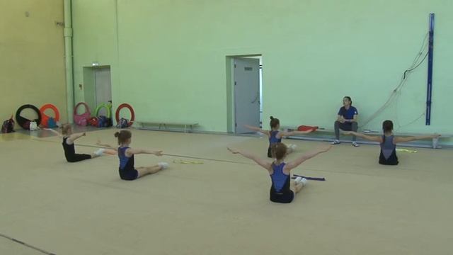 Ангарчанка выполнила норматив звания мастера спорта России по художественной гимнастике смотреть онлайн