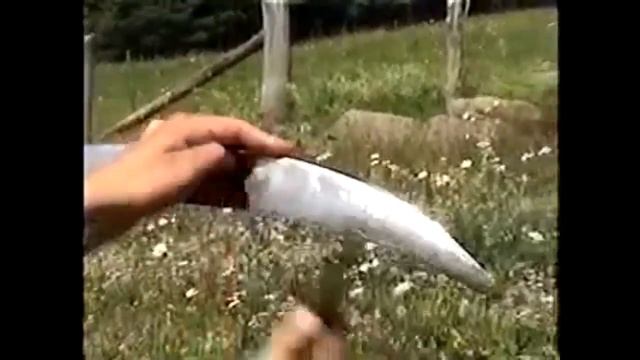 Ты должен это видеть Топ подборка девушки косят траву косой смотреть онлайн