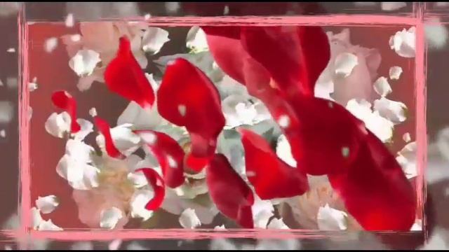 Женщинам к 8 Марта.Букет из белых роз. смотреть онлайн