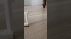 Лего меха Годзилла и механи Конг и меха гидора