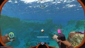 Как писать консольные команды в subnautika ps4