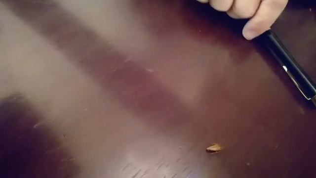 Таракан и суши смотреть онлайн