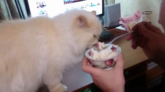 Прикол с кртом смотреть онлайн