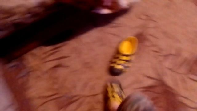 видео как я живу и видео про кота и мой дом смотреть онлайн