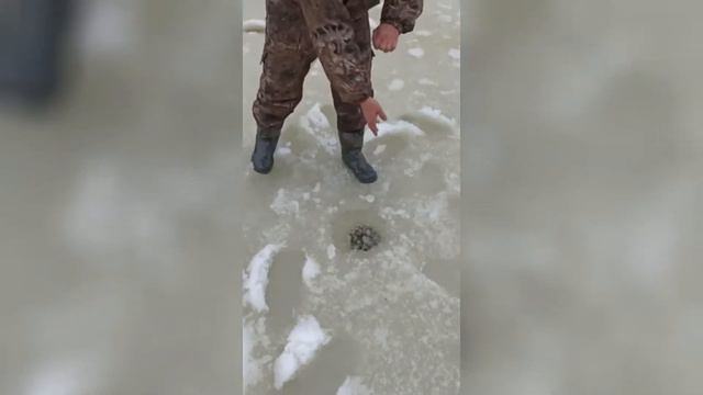 Первый лед 2022г. Лутовня смотреть онлайн