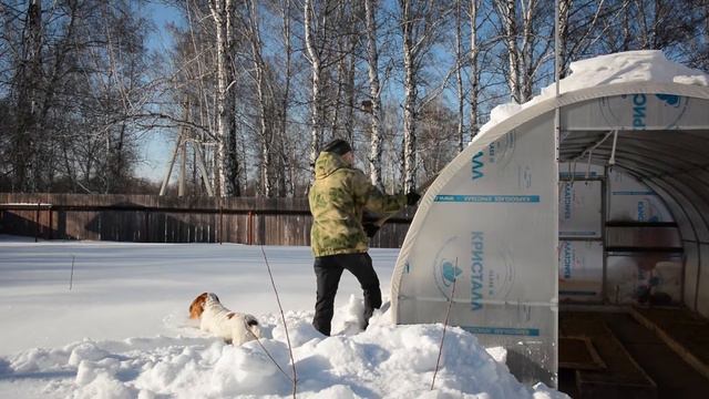 Середина февраля а уже первые работы в питомнике.