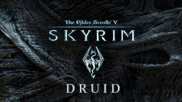 SKYRIM | ЕСТЬ МНЕНИЕ | ОБЗОР DRUIDeas
