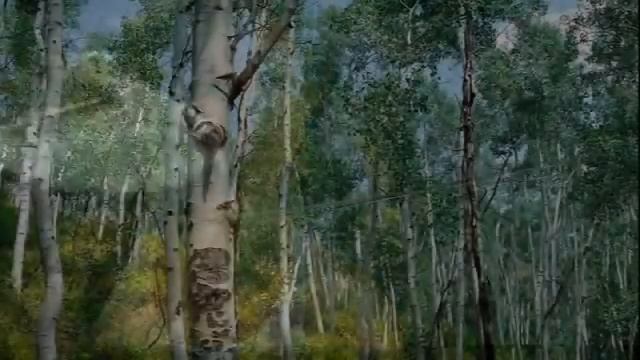 Я тебя нарисовал смотреть онлайн