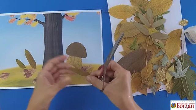 «Грибна галявина». Відео майстер-клас. Альбом з дизайну і технологій 1кл. Хорунжий В.(НУШ) смотреть онлайн