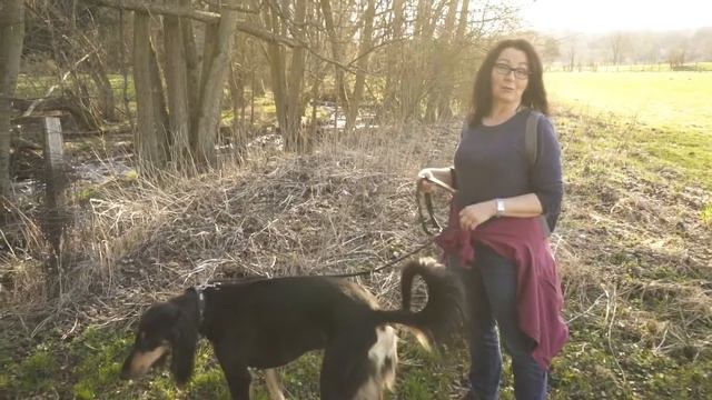 #HUNDundJAGD Testet: Fester Tritt Im Revier Bei Jedem Wetter = HAIX Black Eagle Nature GTX!