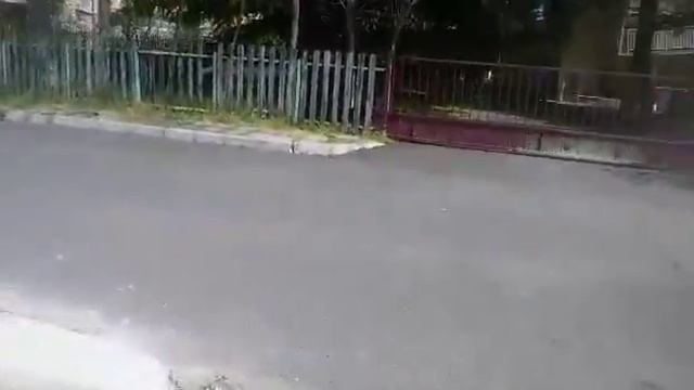 Растительность в Болгарии в апреле-мае 2018, Солнечный берег смотреть онлайн