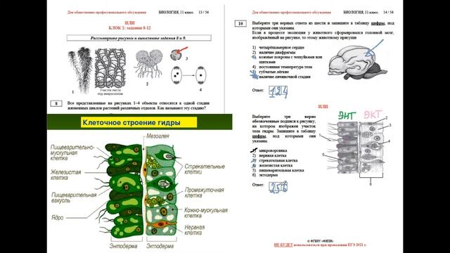 Разбор демоверсии варианта ЕГЭ по биологии 2022. Часть 5 смотреть онлайн