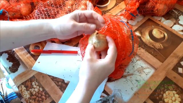 3.10.19Потеряла телефон, кошелек и паспорт.Обзор лука шалот Сады России смотреть онлайн