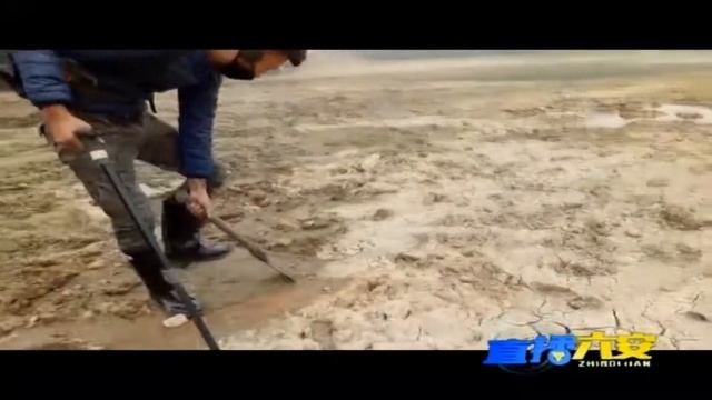 China Metal Detector Lover  GPX5000 GPZ7000 Gold Monster  XP  SDC2300 GMT