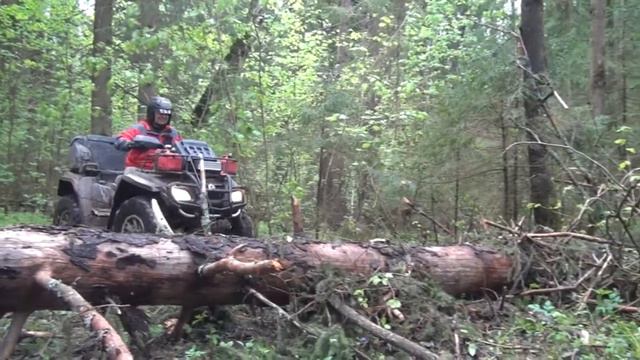 Прыжок дерево 1 смотреть онлайн