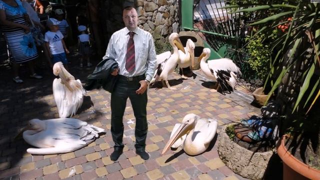 • L'One • Буду Молодым •