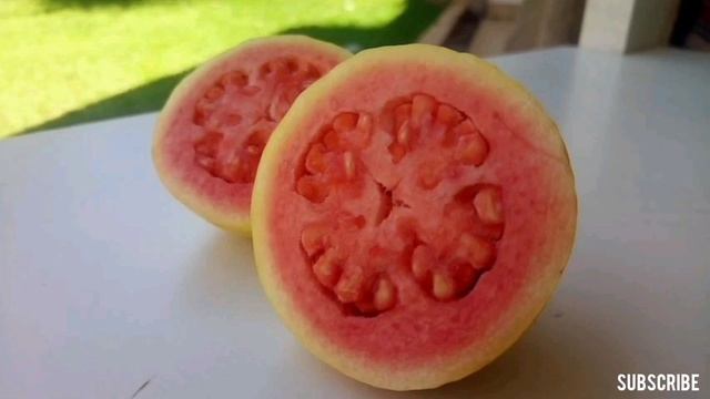 కలలో జామకాయ కనిపిస్తే || Kalalo Jamakaya Kanipiste || Kalalo Jama chettu kanipiste || Guava in Drea смотреть онлайн