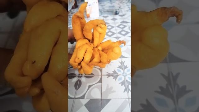 Что получится если апельсин скрестить с перцем смотреть онлайн