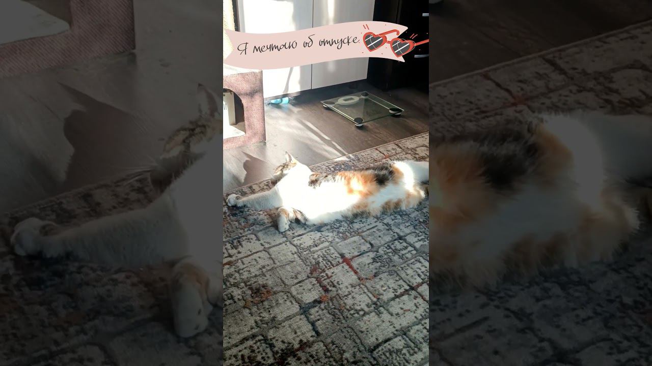 Это я размечталась об отпуске смотреть онлайн