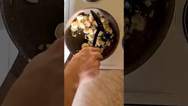 Домашние Животные и Их Уход